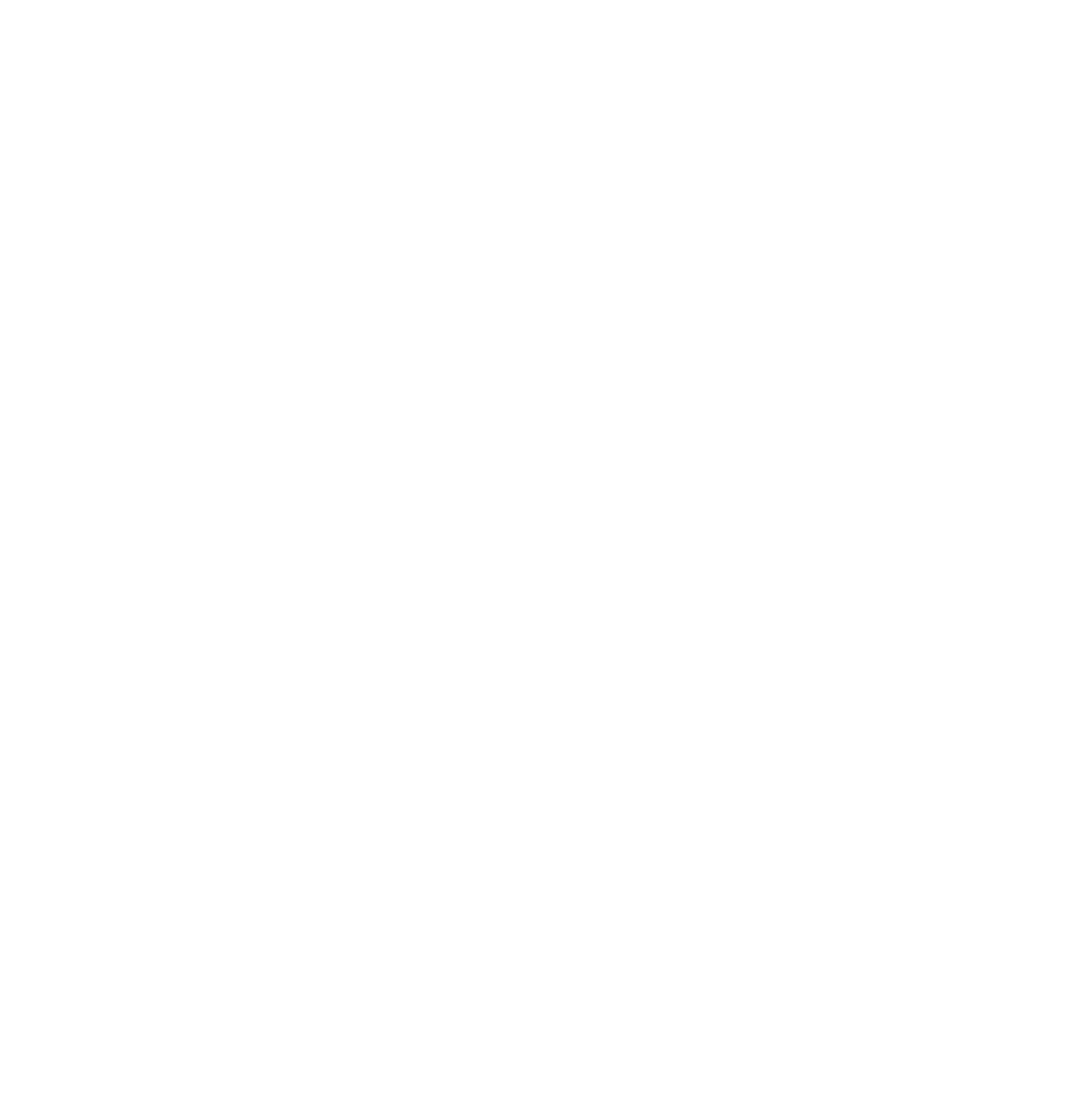 FLEX Logo White Transparent